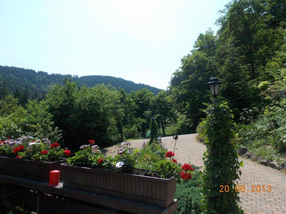 Gaestezimmer Haus Talblick Lautenthal Exterior photo